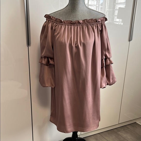 BLUSH Satiny Off-Shoulder Puff Sleeve Lined Dress in Blush, Size M - Picture 3 of 11